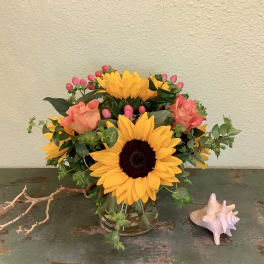 Sunny Sunflowers