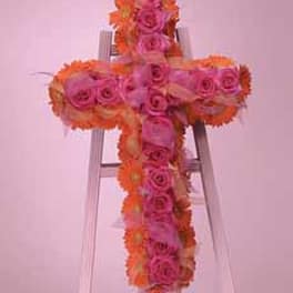SF58-21 Polychromatic Cross Easel