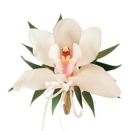 White orchid corsage with green leaves and a white ribbon