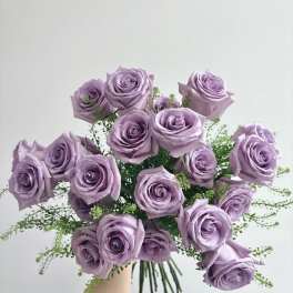 Lavender Roses