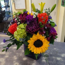 Crazy for Sunflowers