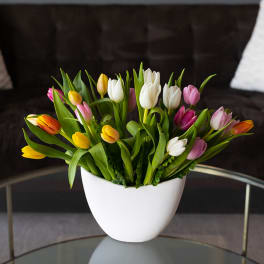 Mixed tulips in pink, yellow, white, and orange in a white vase
