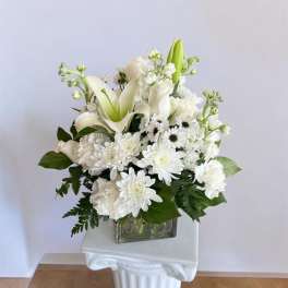 The White Muse