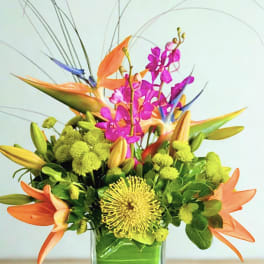 Tropical bouquet with orange bird-of-paradise and pink orchids in a glass vase