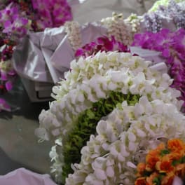 Assorted orchid bouquets wrapped in pale paper
