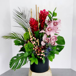 Tropical arrangement with pink orchids and red ginger in a black vase