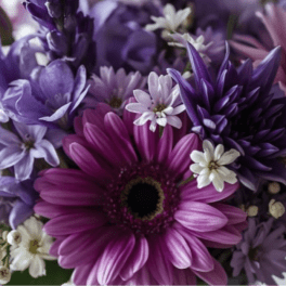 Bouquet of purple and pink daisies with small white filler flowers
