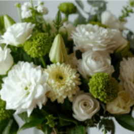Designer's Choice - Simply White