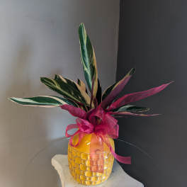 Yellow beauty #806