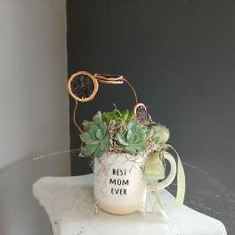 Best Mom Ever Succulent with Dried Oranges