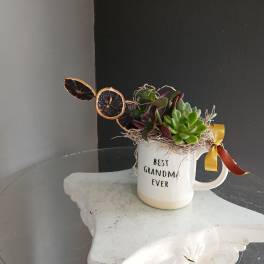 Best Grandma Ever Succulent with Oranges
