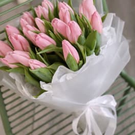 Bouquet of pink tulips wrapped in white paper with a ribbon