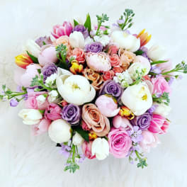 Pastel Perfection ™