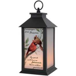 "A Message" Cardinal Lantern