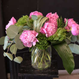 Peony Delight