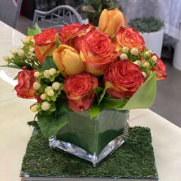 Roses and Tulips