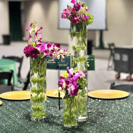 Trio Orchid