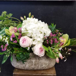 Spring Greetings