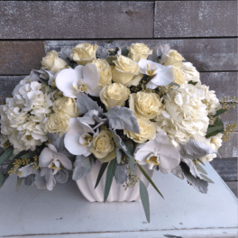 Ivory Elegance