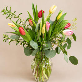 Timeless Tulips