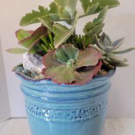 Extra Large Blue Landscape Container