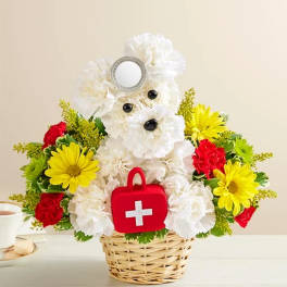 Doggie Howser M.D. #146761