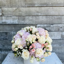 Blushing blossoms