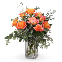 Free Spirit Roses (9)