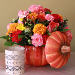 pumpkin gathering two