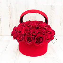 Red Velvet