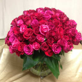 OMG Pink Roses