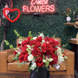Romantic Loves