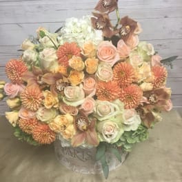 Autumn Delight