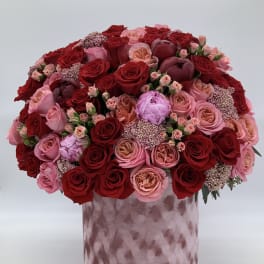 Burgundy Elegance byAmore Luxury Collection