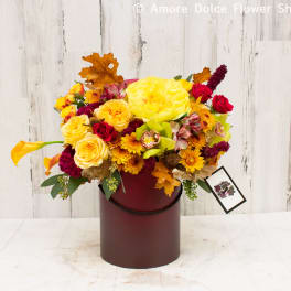 Ombre hat boxes