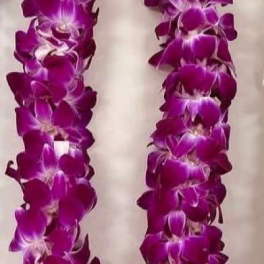 Graduation Orchid Lei (Double)