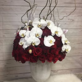 Red Rose extravagance