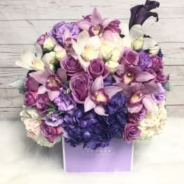 Purple Paradise
