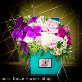 Teal Hye style aragment