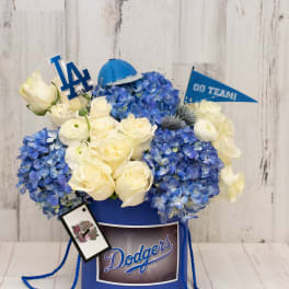 Team Spirit dodgers