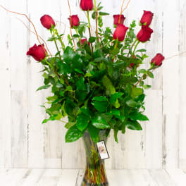 Traditional Classic Dozen Roses