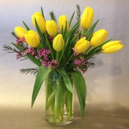 Totally Tulips
