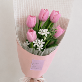 Pink tulip bouquet with small white flowers wrapped in pink paper