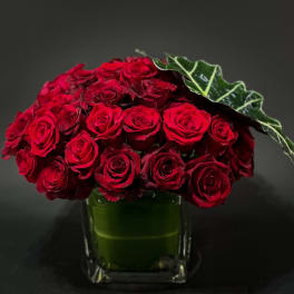 Two Dozen Red roses 
