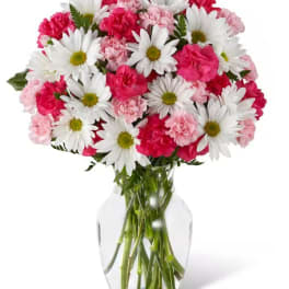 Bouquet of pink carnations and white daisies in a clear glass vase