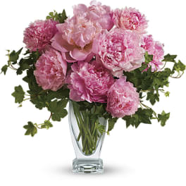 Pink peonies in a clear glass vase with trailing ivy