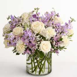 Lovely Lavender