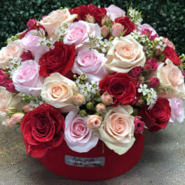 BLOOMING BEAUTY