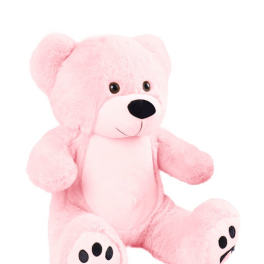 Pink teddy bear plush toy on a white background
