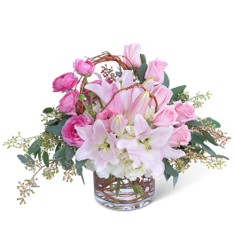 Blush and Willow